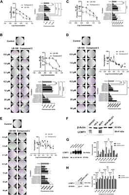 A small molecule inhibitor of leucine carboxyl methyltransferase-1 inhibits cancer cell survival